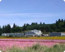 Triangle Seed Farms